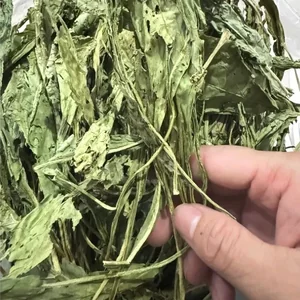 Lá củ cải