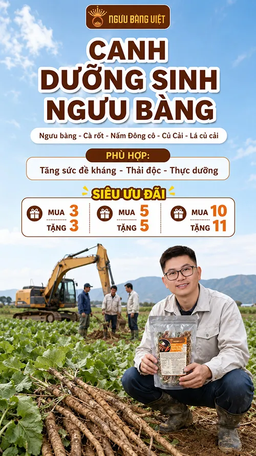 Set Canh Dưỡng Sinh Ngưu Bàng Ohsawa